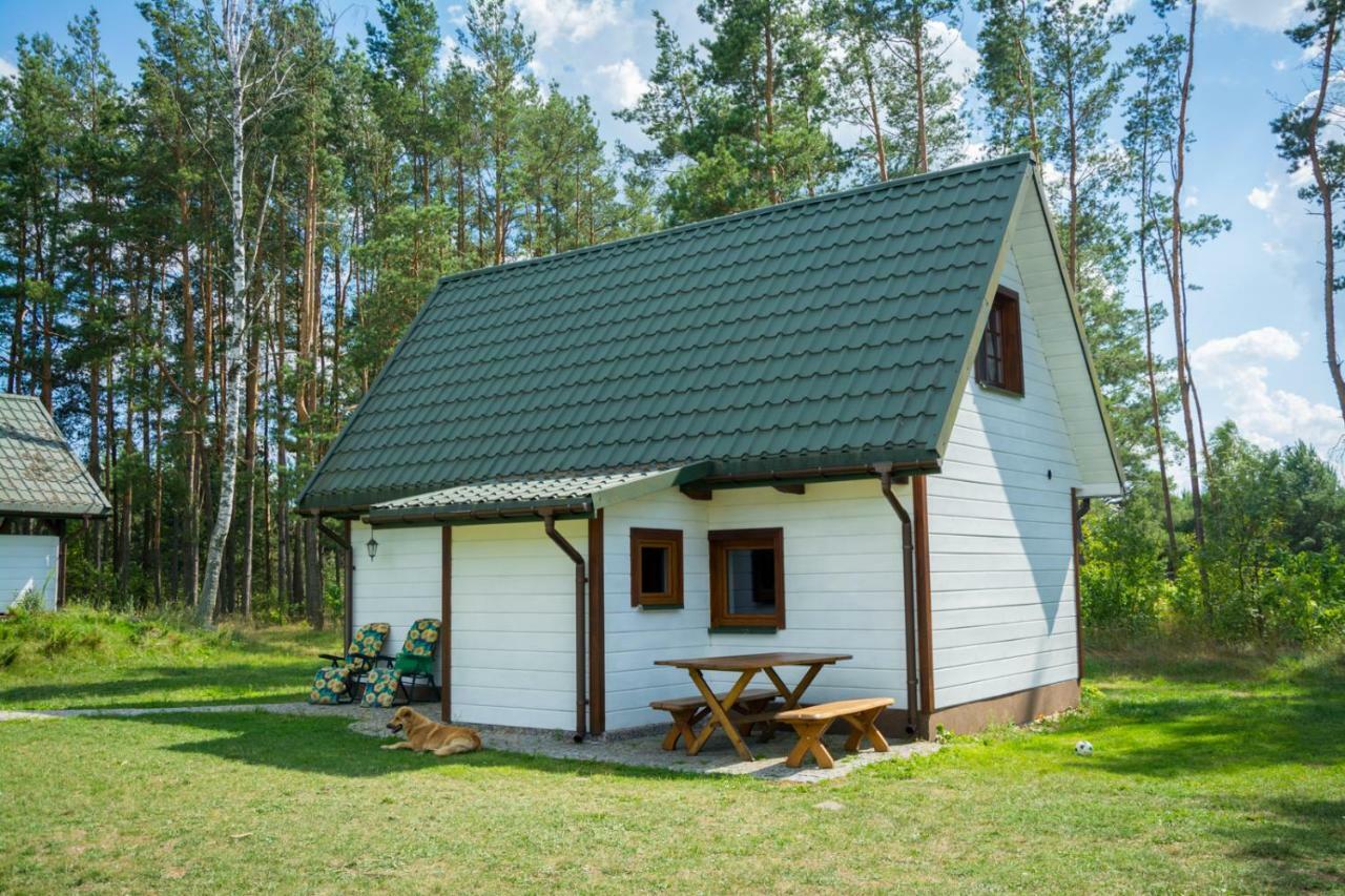 Zubr * Siemianowka